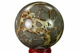 Polished Septarian Sphere - Utah #167614-1